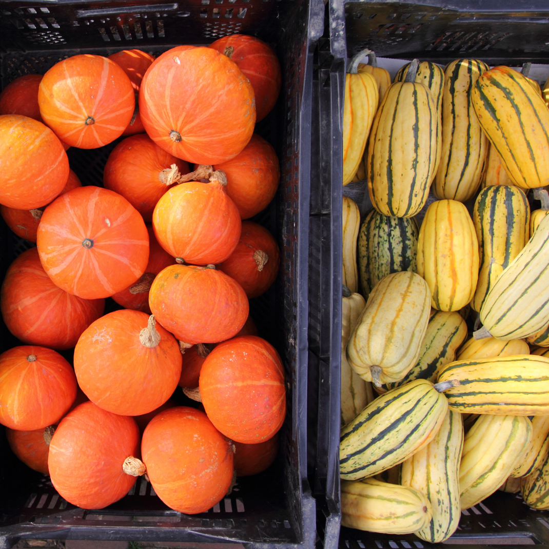 November's Seasonal Produce Guide