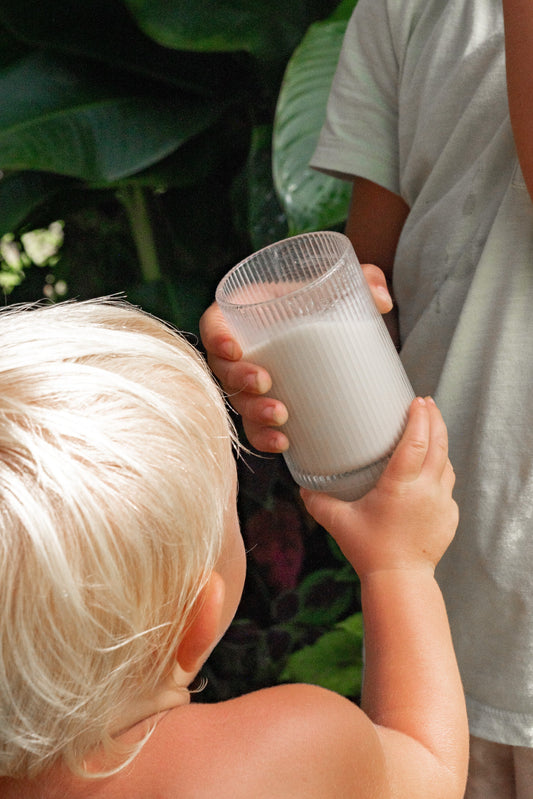 Thiamin (Vitamin B1) 101: Why This Essential Nutrient Matters for Energy, Metabolism & Brain Function
